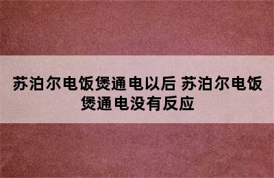 苏泊尔电饭煲通电以后 苏泊尔电饭煲通电没有反应